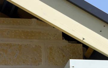 soffit repair Crowntown